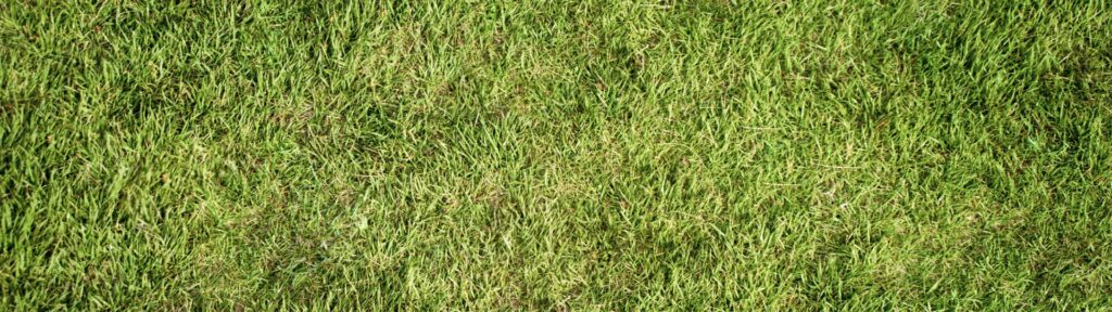 postTtl-img--weeding